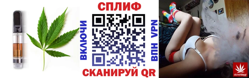 Cannafood конопля  Гай 