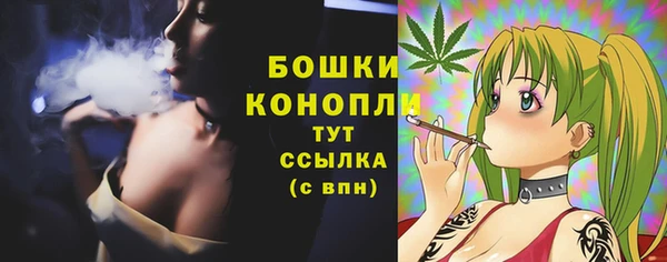 шишки Богородицк