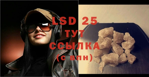 шишки Богородицк
