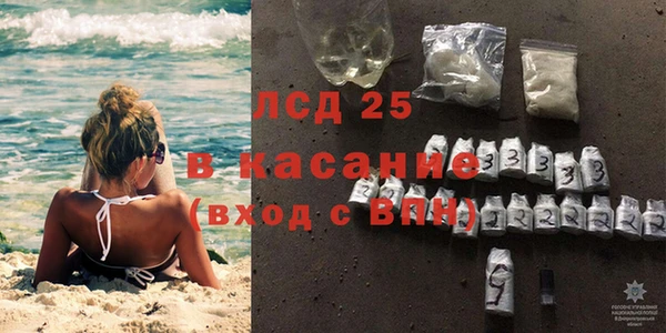 шишки Богородицк