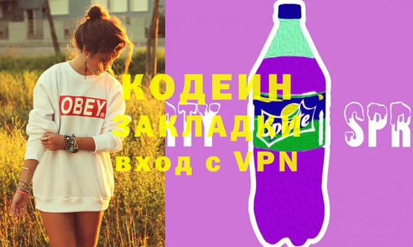 шишки Богородицк