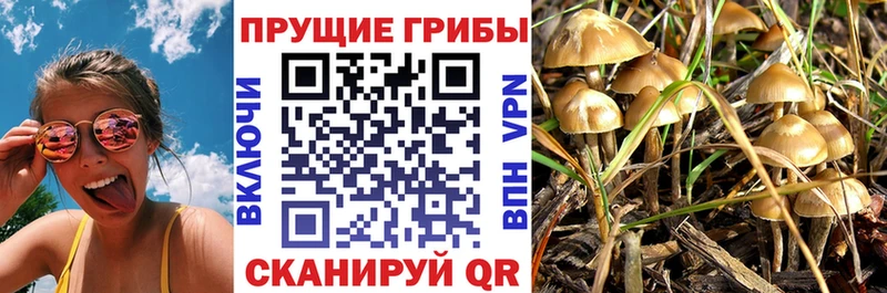 Псилоцибиновые грибы ЛСД дарнет шоп Гай