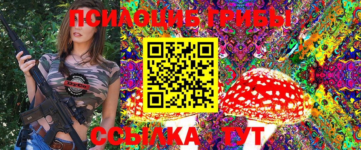 Псилоцибиновые грибы MAGIC MUSHROOMS  Галлюциногенные грибы мицелий  Гай  Вход с VPN 