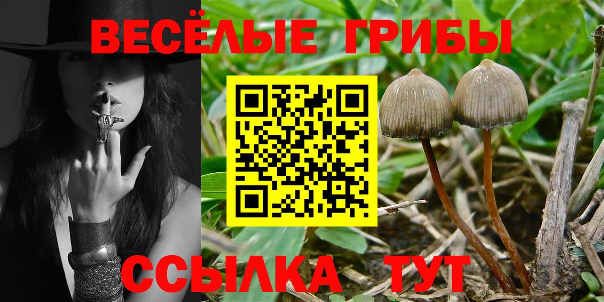 Псилоцибиновые грибы мухоморы Гай